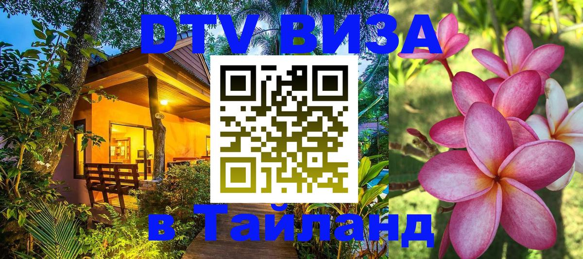 Сколько стоит DTV виза — актуальные цены, оформление даже без документов - Великий Новгород  05.10.2025 